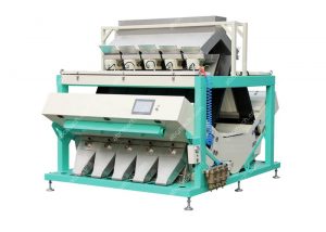 color sorting machine for grain processing