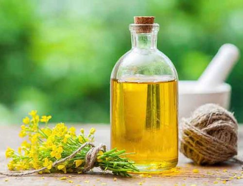 Methods for making vegetable oil