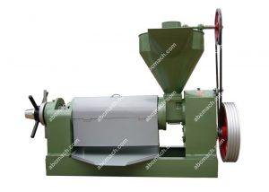 large plate oil filter machine