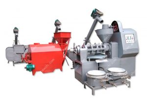 mini oil milling plant