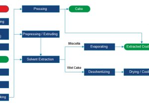 chart flow of oil pressing process