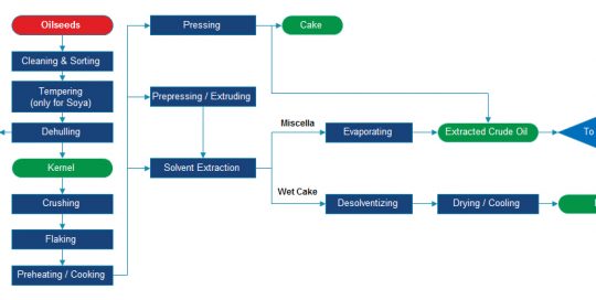 chart flow of oil pressing process