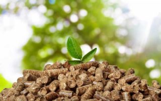 wood pellet is a typical biomass energy