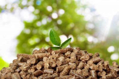 wood pellet is a typical biomass energy