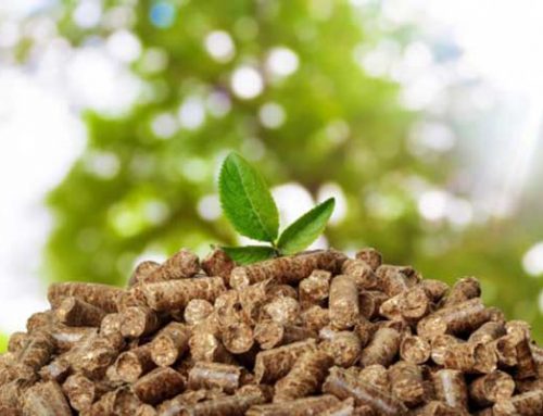 Status Quo And Development of Biomass Energy in China
